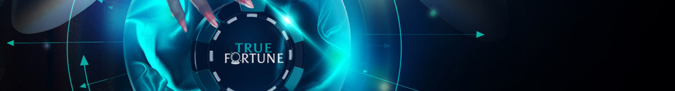 true-fortune-casino_fr_7