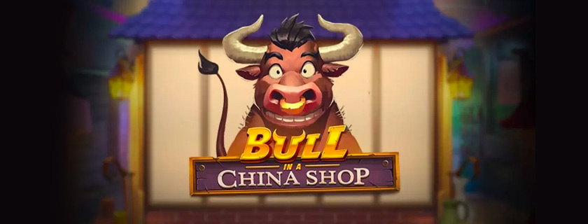Nouveaute bull in a china shop